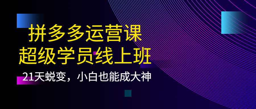 拼多多运营课：超级学员线上班，21天蜕变，小白也能成大神-搜易资源网