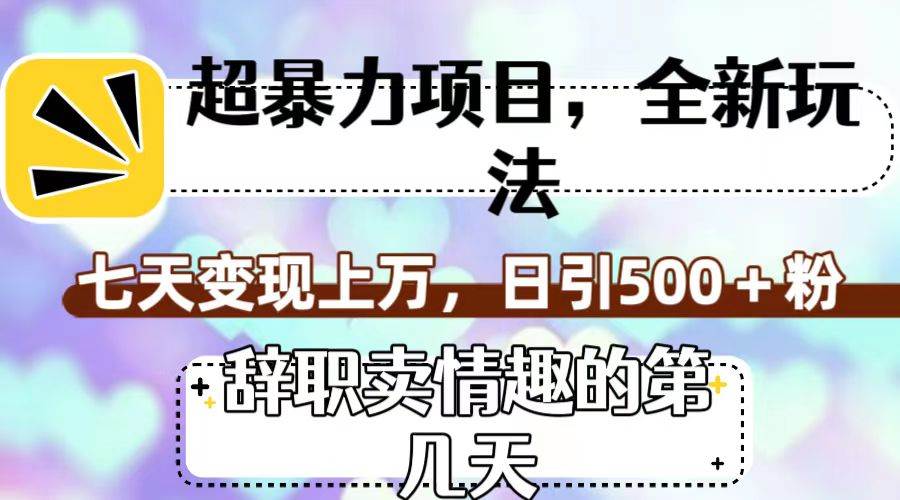 超暴利项目，全新玩法（辞职卖情趣的第几天），七天变现上万，日引500+粉-搜易资源网