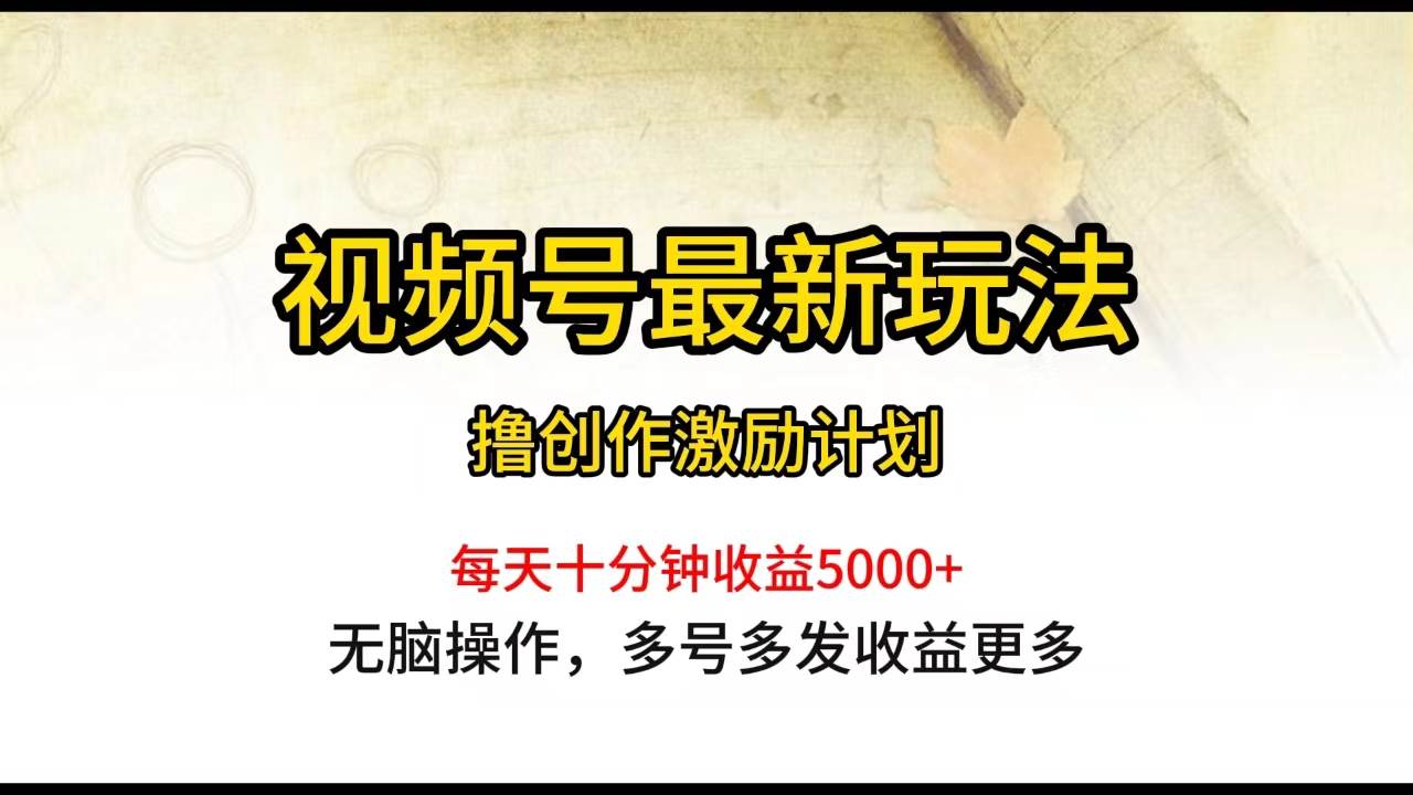 视频号最新玩法，每日一小时月入5000+-搜易资源网