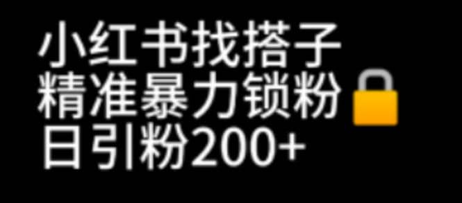 小红书找搭子暴力精准锁粉+引流日引200+精准粉-搜易资源网