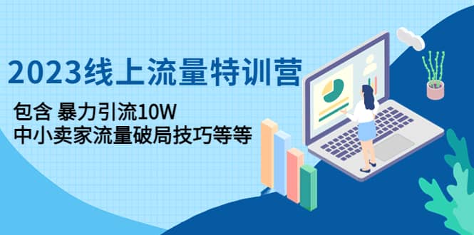 2023线上流量特训营：中小卖家流量破局技巧等等-搜易资源网
