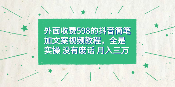 外面收费598抖音简笔加文案教程，全是实操 没有废话 月入三万（教程+资料）-搜易资源网