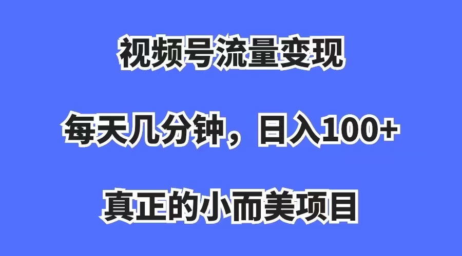视频号流量变现，每天几分钟，收入100+，真正的小而美项目-搜易资源网