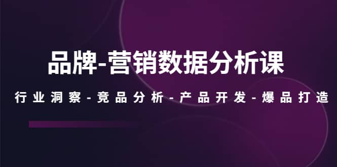 品牌-营销数据分析课，行业洞察-竞品分析-产品开发-爆品打造-搜易资源网