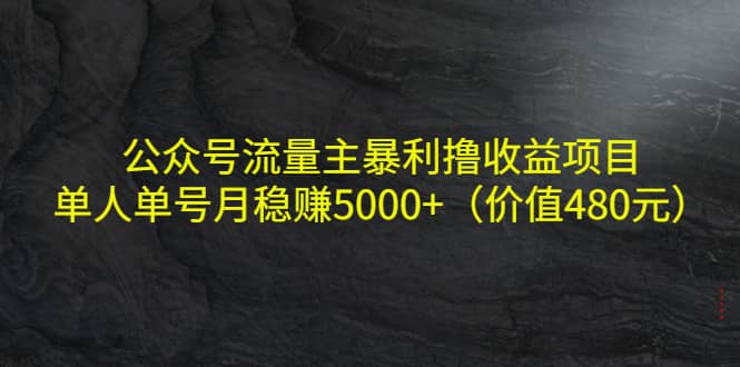 公众号流量主暴利撸收益项目，单人单号月稳赚5000+（价值480元）-搜易资源网