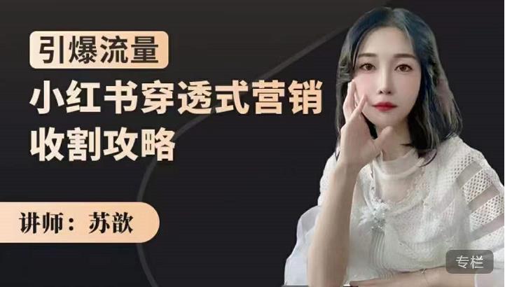 小红书穿透式营销收割攻略，引爆流量，助你玩转小红书-搜易资源网
