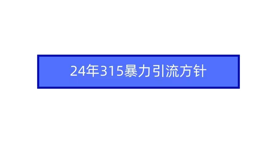 2024年315暴力引流方针-搜易资源网