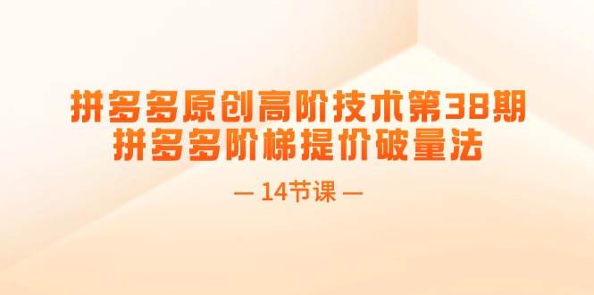 拼多多原创高阶技术第38期，拼多多阶梯提价破量法（14节课）-搜易资源网