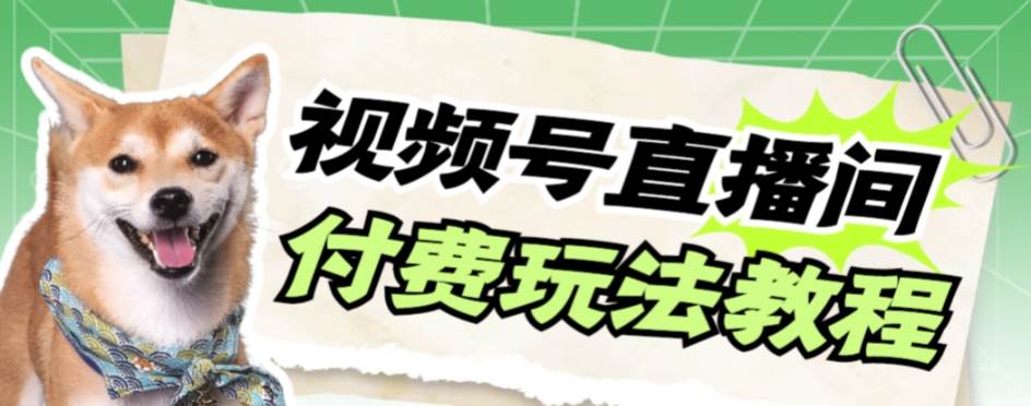 视频号美女付费无人直播，轻松日入500+【详细玩-搜易资源网