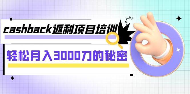 cashback返利项目培训：轻松月入3000刀的秘密（8节课）-搜易资源网