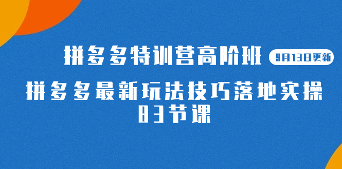 2023拼多多·特训营高阶班【9月13日更新】拼多多最新玩法技巧落地实操-83节-搜易资源网