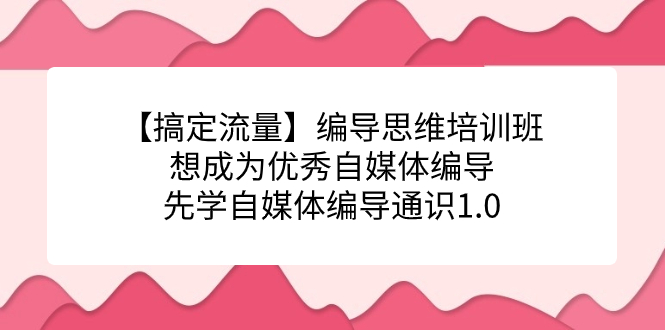 【搞定流量】编导思维培训班，想成为优秀自媒体编导先学自媒体编导通识1.0-搜易资源网