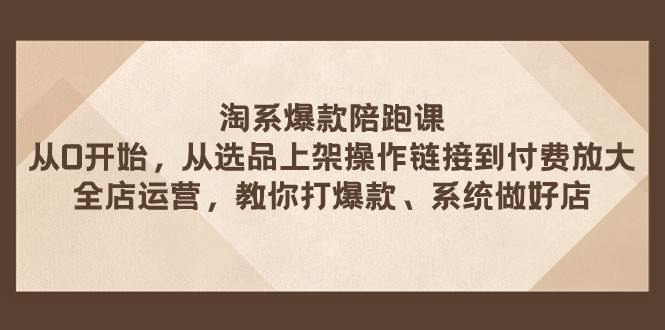 淘系爆款陪跑课 从选品上架操作链接到付费放大 全店运营 打爆款 系统做好店-搜易资源网