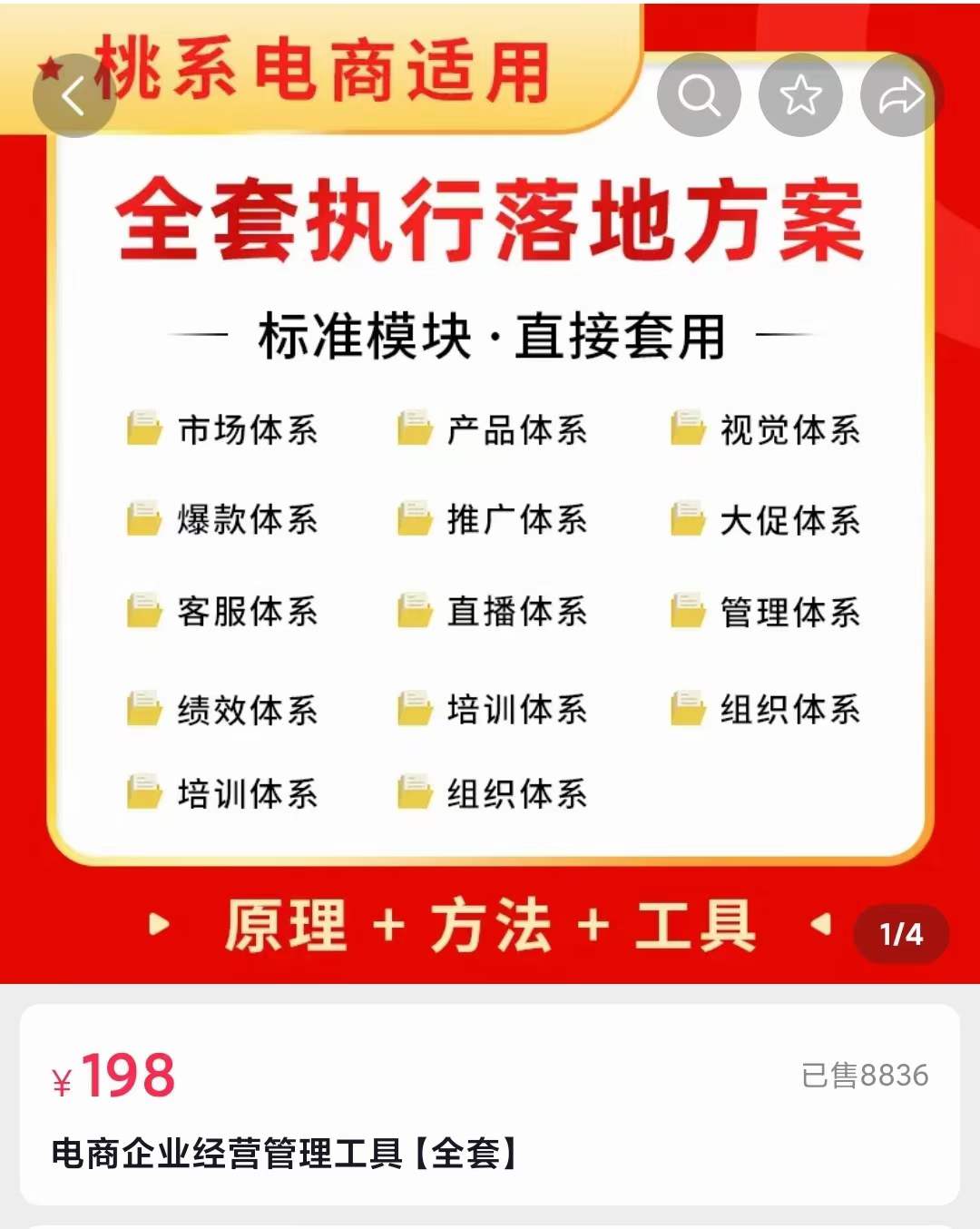 外面卖198·电商企业经营管理工具：全套执行落地方案 标准模块·直接套用-搜易资源网