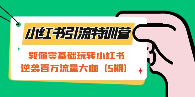 小红书引流特训营-第5期：教你零基础玩转小红书，逆袭百万流量大咖-搜易资源网