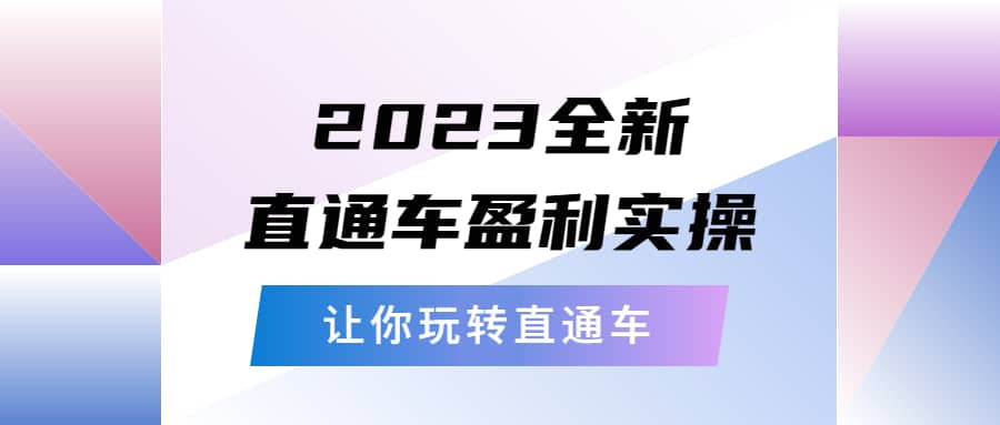 2023全新直通车·盈利实操：从底层，策略到搭建，让你玩转直通车-搜易资源网