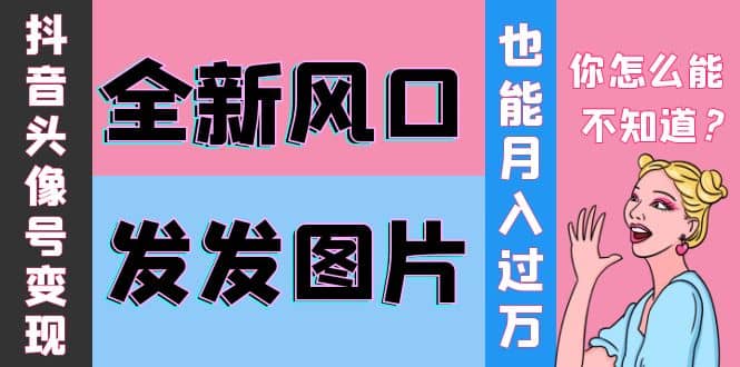抖音头像号变现0基础教程-搜易资源网