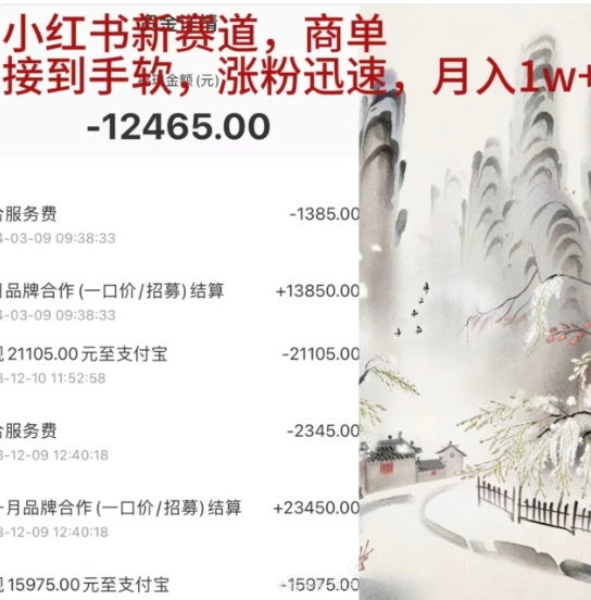 小红书新赛道，商单接到手软，涨粉迅速，一个月1w+-搜易资源网