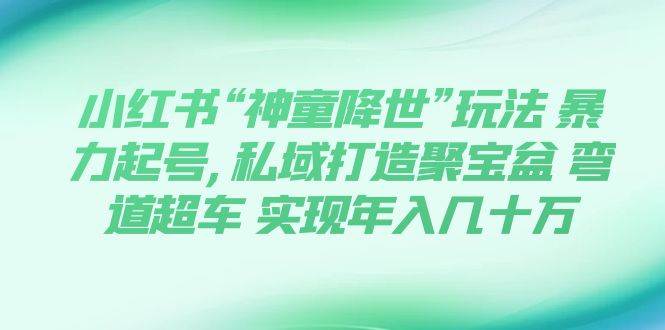 小红书“神童降世”玩法 暴力起号,私域打造聚宝盆 弯道超车 实现年入几十万-搜易资源网