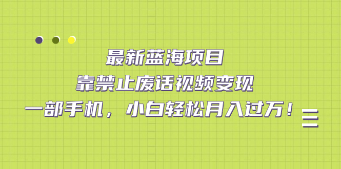 最新蓝海项目，靠禁止废话视频变现，一部手机，小白轻松月入过万！-搜易资源网