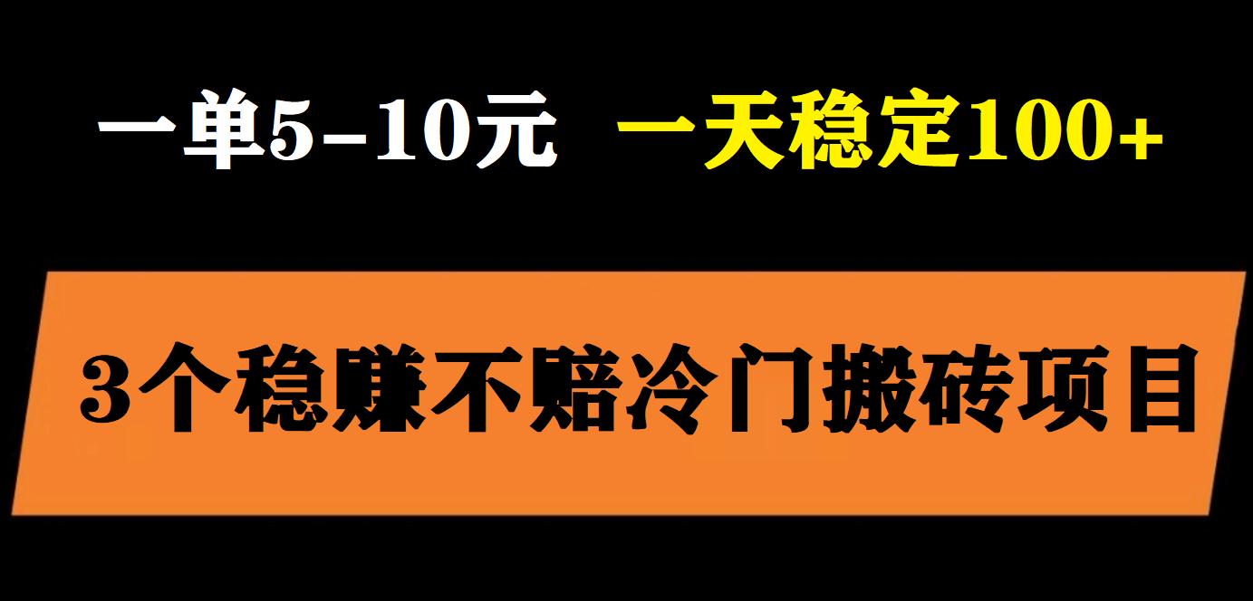3个最新稳定的冷门搬砖项目，小白无脑照抄当日变现日入过百-搜易资源网