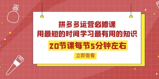 拼多多运营必修课：20节课每节5分钟左右，用最短的时间学习最有用的知识-搜易资源网