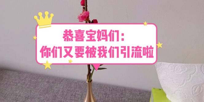 恭喜宝妈们：你们又要被我们引流了（教程+222g资料）-搜易资源网
