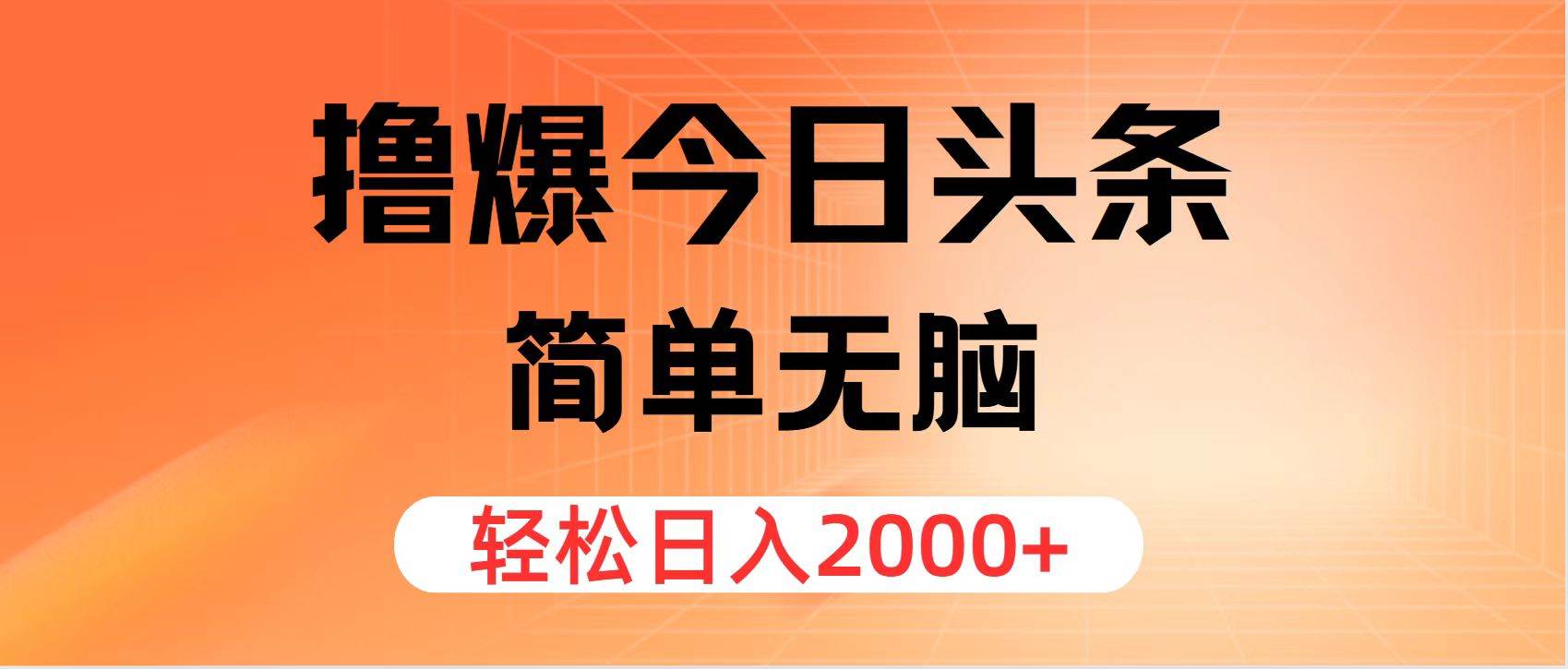 撸爆今日头条，简单无脑，日入2000+-搜易资源网