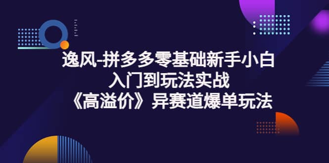 拼多多零基础新手小白入门到玩法实战《高溢价》异赛道爆单玩法实操课-搜易资源网