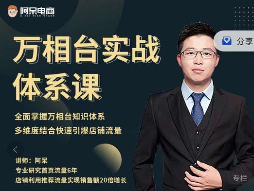 阿呆-万相台实战体系课，帮您全面掌握万相台知识体系-搜易资源网