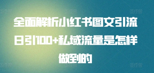 全面解析小红书图文引流日引100私域流量是怎样做到的-搜易资源网