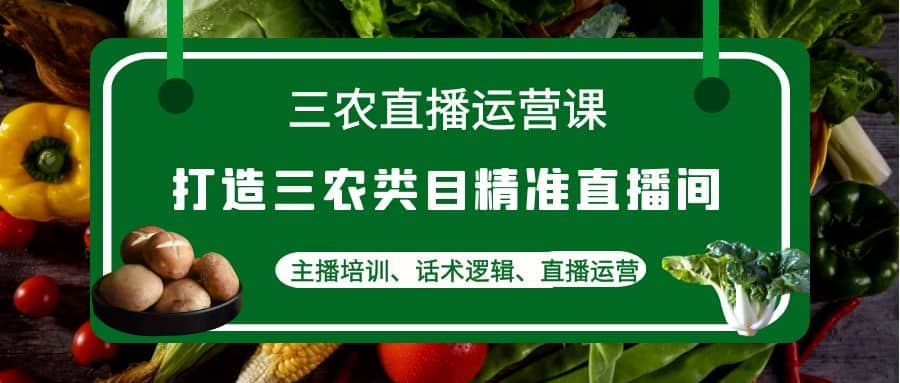 三农直播运营课：打造三农类目精准直播间，主播培训、话术逻辑、直播运营-搜易资源网