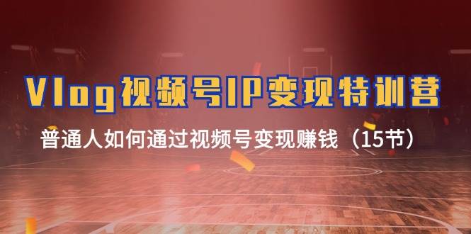 Vlog 视频号IP变现特训营，普通人如何通过视频号变现赚钱（15节）-搜易资源网