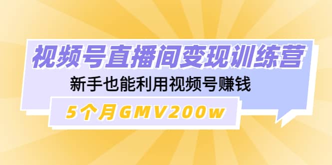 视频号直播间变现训练营-搜易资源网