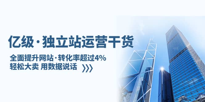 独立站运营干货：全面提升网站·转化率超过4%，轻松大卖 用数据说话-搜易资源网