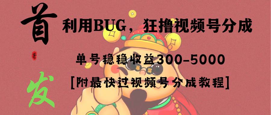 全网独家首发，视频号BUG，超短期项目，单号每日净收益300-5000！-搜易资源网