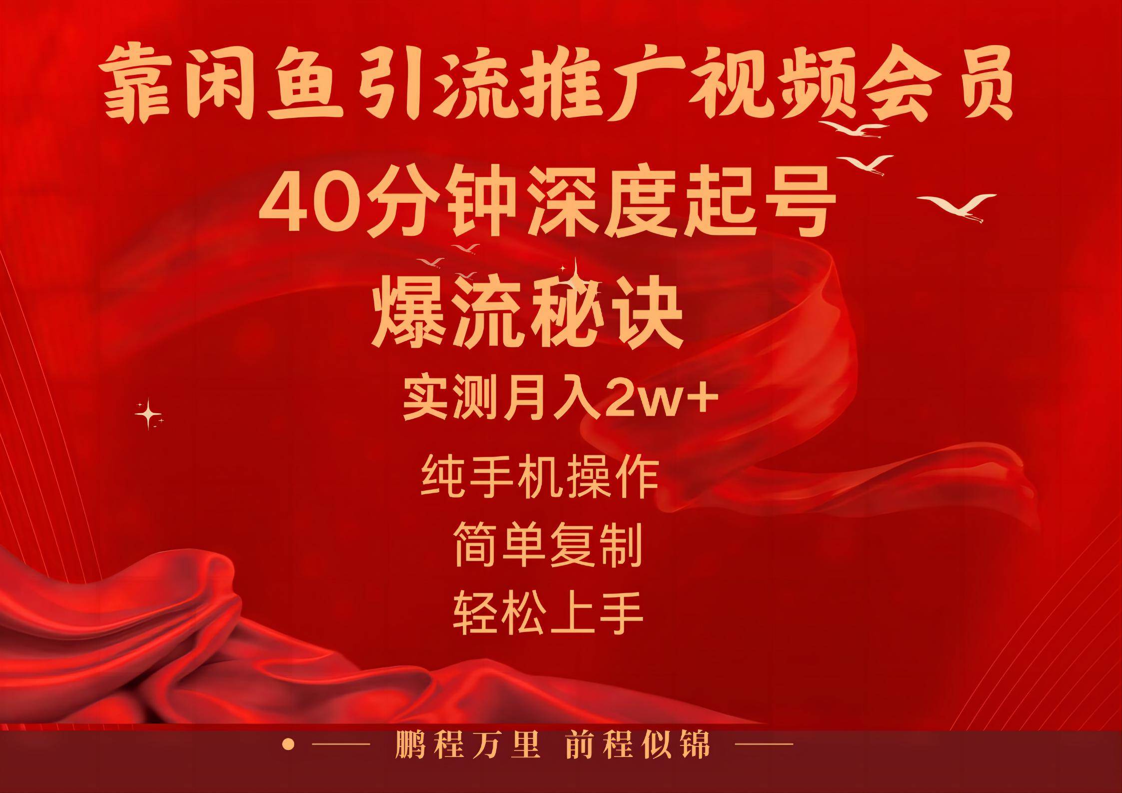 闲鱼暴力引流推广视频会员，能做到日入2W+，操作简单-搜易资源网