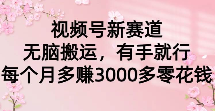视频号新赛道，无脑搬运，有手就行，每个月多赚3000多零花钱-搜易资源网