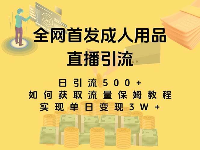 最新全网独创首发，成人用品直播引流获客暴力玩法，单日变现3w保姆级教程-搜易资源网