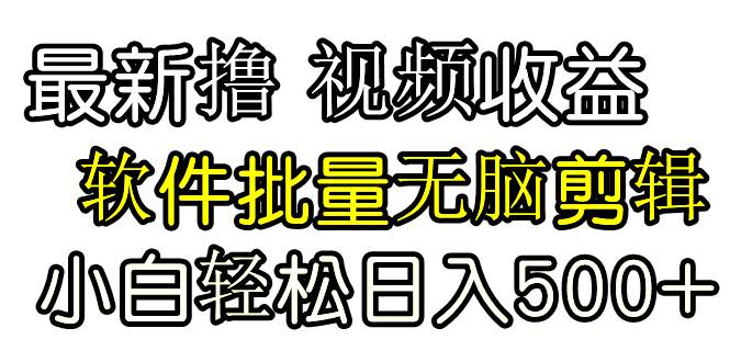 发视频撸收益，软件无脑批量剪辑，第一天发第二天就有钱-搜易资源网