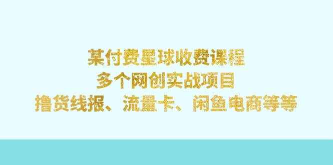 某付费星球课程：多个网创实战项目，撸货线报、流量卡、闲鱼电商等等-搜易资源网