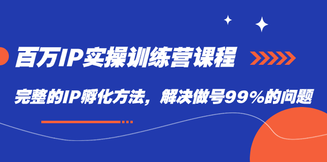 百万IP实战训练营课程，完整的IP孵化方法，解决做号99%的问题-搜易资源网