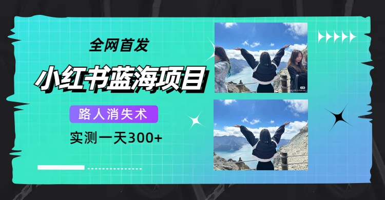全网首发，小红书蓝海项目，路人消失术，实测一天300+（教程+工具）-搜易资源网