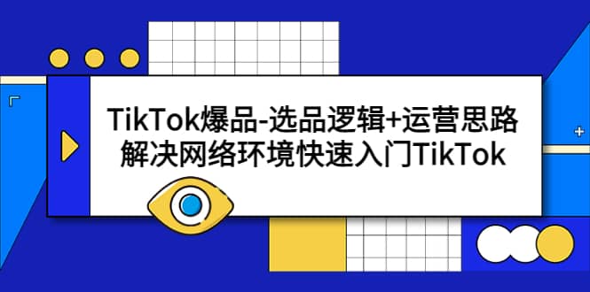 TikTok爆品-选品逻辑+运营思路：解决网络环境快速入门TikTok-搜易资源网