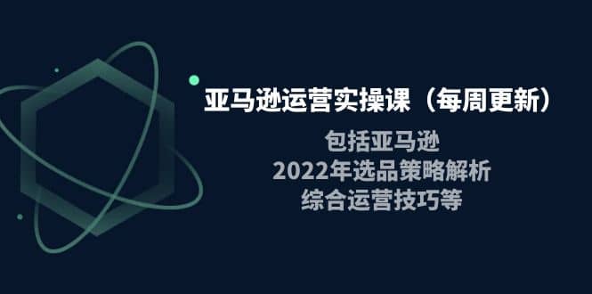 亚马逊运营实操课（每周更新）包括亚马逊2022选品策略解析，综合运营技巧等-搜易资源网