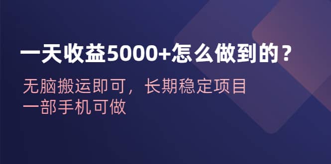 一天收益5000+怎么做到的？无脑搬运即可，长期稳定项目，一部手机可做-搜易资源网
