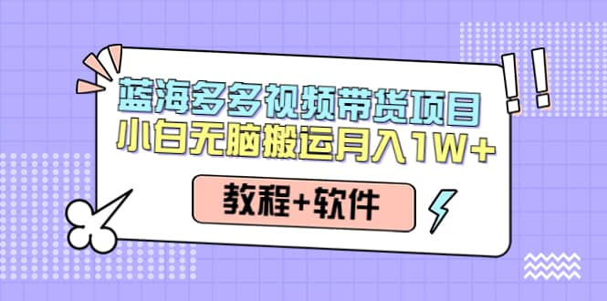 人人都能操作的蓝海多多视频带货项目 小白无脑搬运（教程+软件）-搜易资源网
