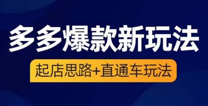 2023拼多多爆款·新玩法：起店思路+直通车玩法（3节精华课）-搜易资源网