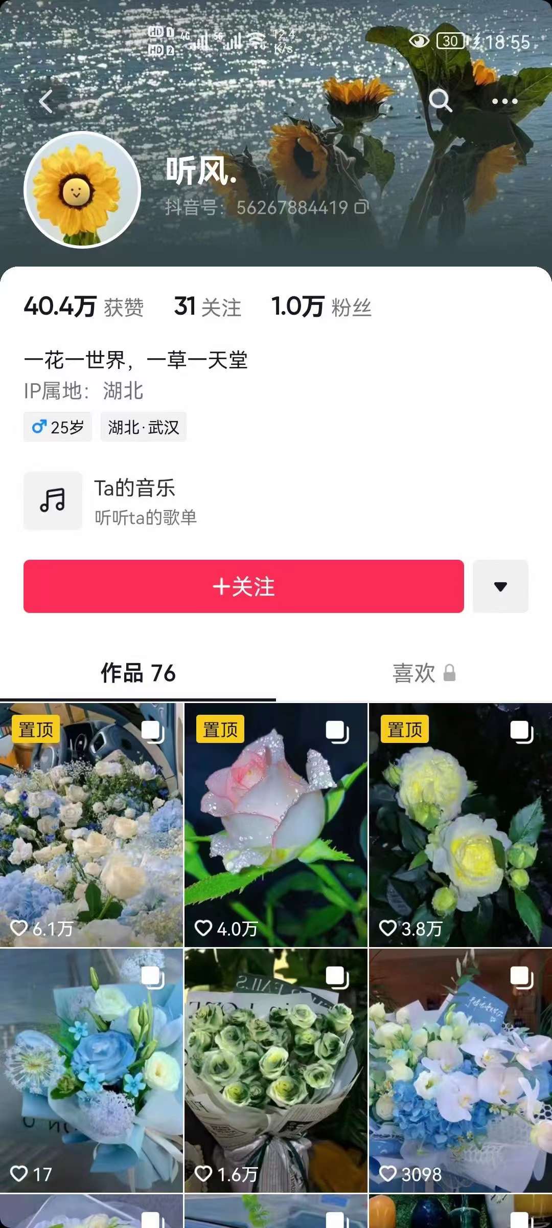 图片[2]-抖音壁纸变现项目：实战日入380+发布壁纸素材获取收益！-搜易资源网