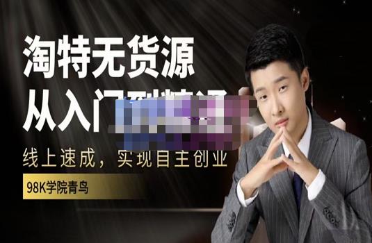 98k学院的淘特无货源线上速成课，从入门到精通，让你最小投入，最高回报-搜易资源网